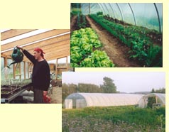 Click on image to see full-sized version organic.jpg