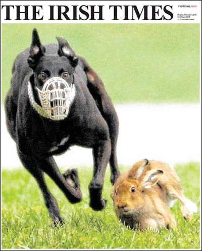 Click on image to see full-sized version A fine sport for the family...that's what coursing fans say THIS is...