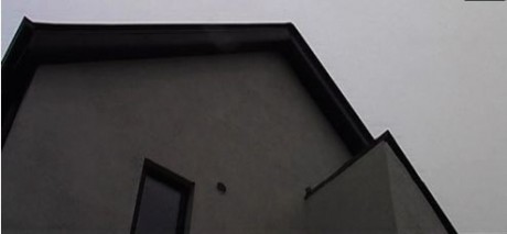 'Bringing The Blood Back Home'