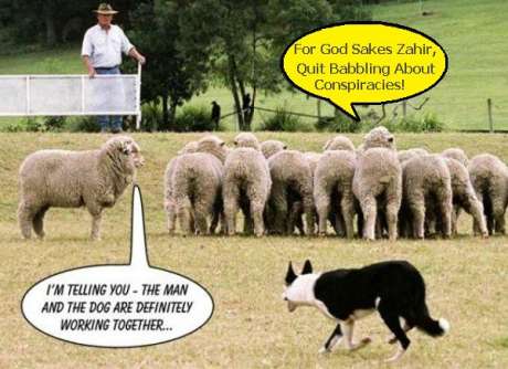 Click on image to see full-sized version Image1 Standing-apart-from-the-herd