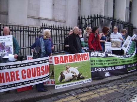 Click on image to see full-sized version protest against Irish hare coursing...