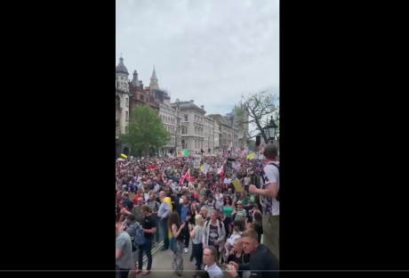 Click on image to see full-sized version london_img2_rally_may29_2021.png