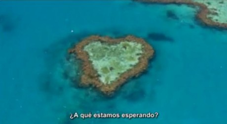 �A qu� estamos esperando? what are we waiting for : HOME (film) and Bagua