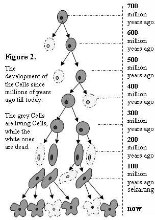 Click on image to see full-sized version Image1