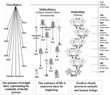 Click on image to see full-sized version Image2