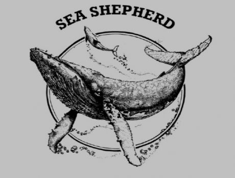 Click on image to see full-sized version sea_shepherd_logo.jpg